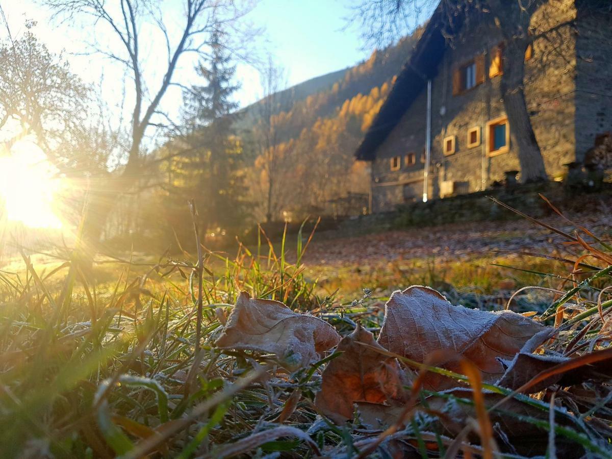 Bed and Breakfast Grange Epiney Bed E Breakfast Ла-Саль Экстерьер фото